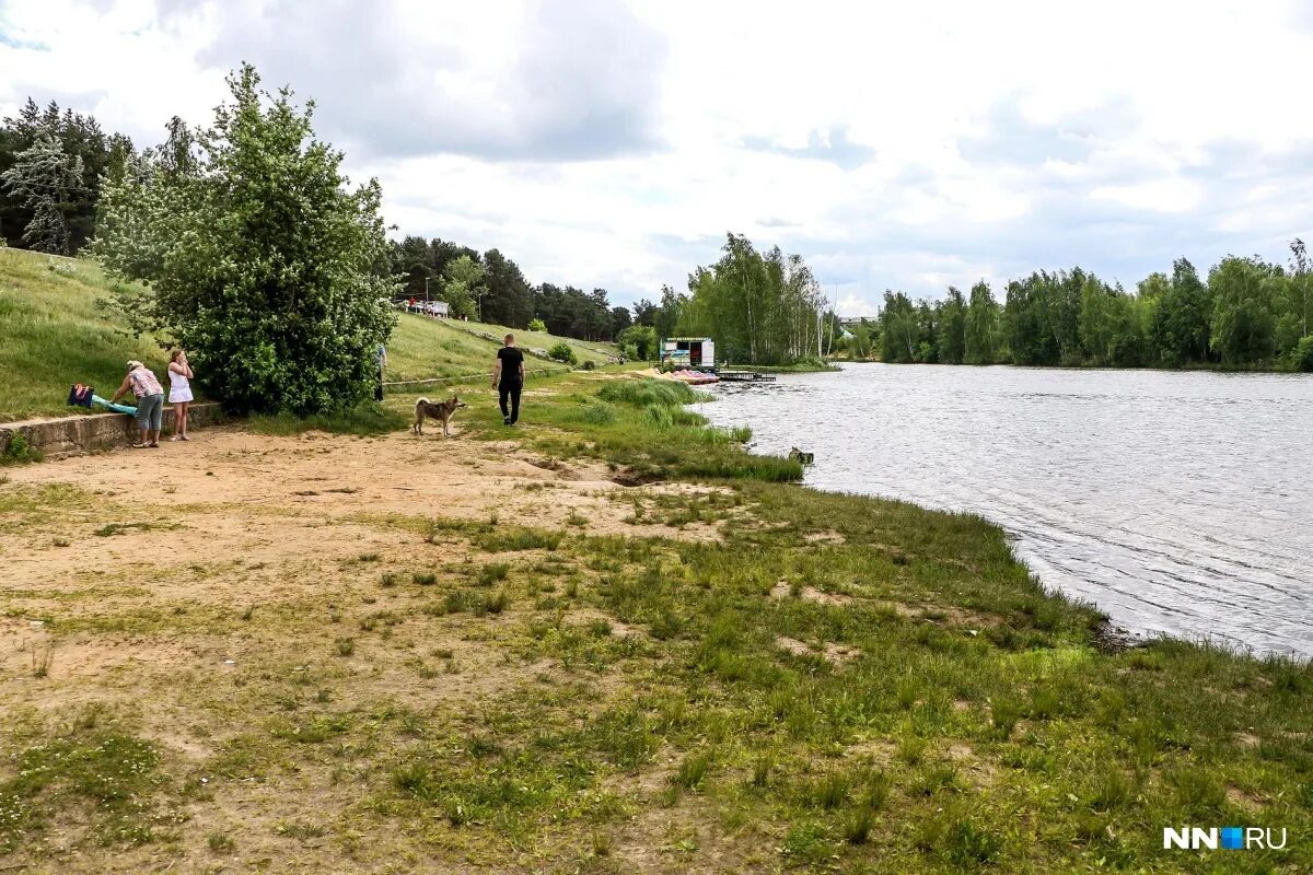 Новгород купаться. Пляж Березовка. Пляж Бобровский Тула. Пляж деревня Березовка. Пруд Березовка.