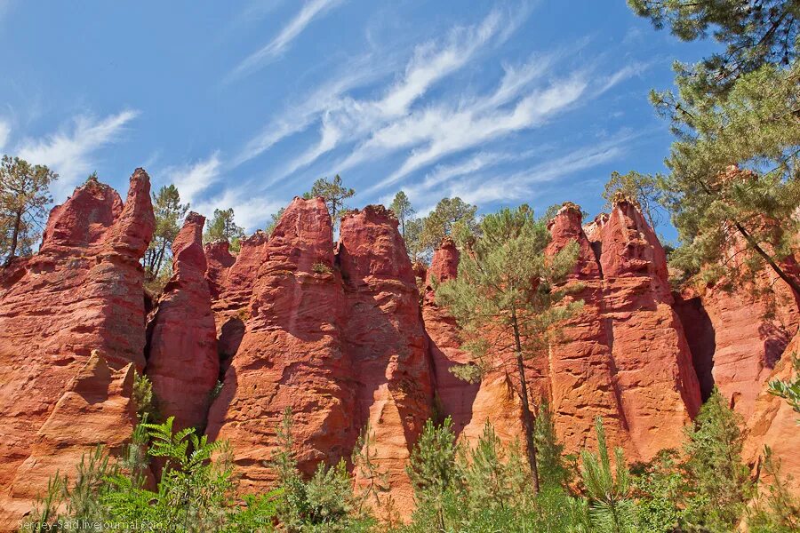 охра дерево. руссильон каньон охры. парк охра. каток в лесу санкт-петербург охта парк. рюстрель франция.