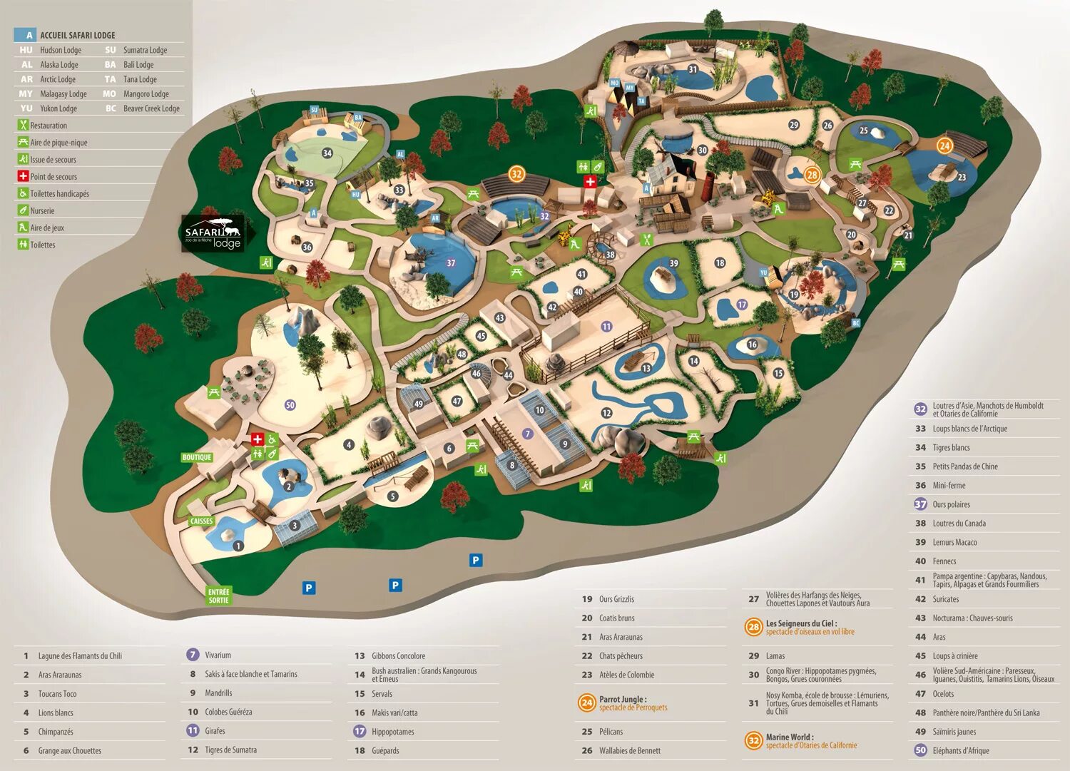 Zoo Plan. План сингапурского зоопарка. Basel зоопарк. Zoo Plan Concept.