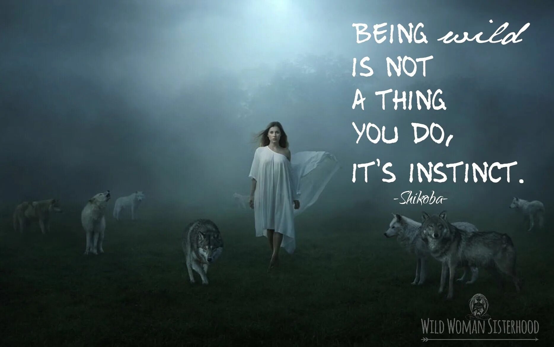 Стая девушек. Девушка оборотень арт. Девушка с волком. Силуэт девушки в прыжке. Стая девушек.