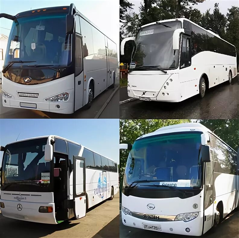 Тур в Кострому на автобусе. Суздаль Иваново автобус. Neoplan/man Yutong Hyundai Higer Mercedes Setra King long. Трансфер Суздаль Москва.