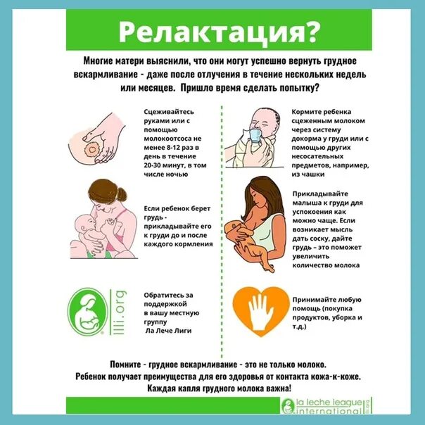 После грудного. Релактация гв. восстановление грудного вскармливания после перерыва. как вернуть гв после перерыва. восстановление лактации после перерыва 2 месяца.