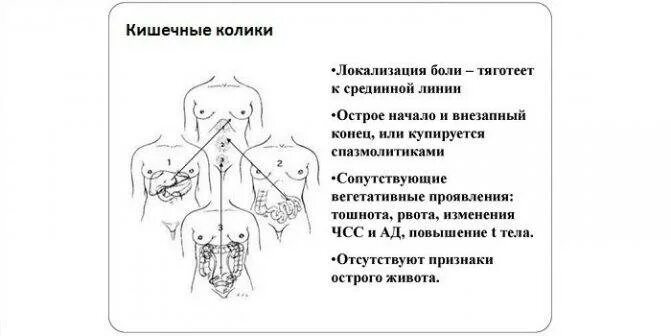 Кишечная колика. Желудочно кишечные колики. Кишечная колика у взрослых. Постоянные колики