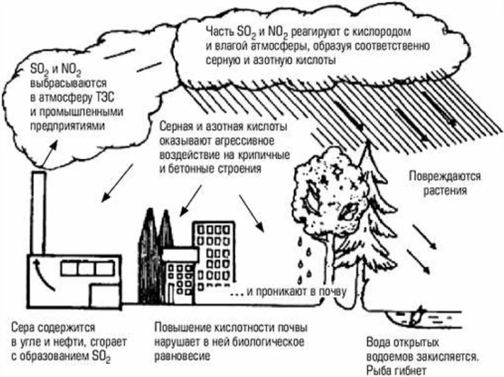 Оксид вызывающий образование кислотных дождей. Схема образования кислотных дождей. Кислотные дожди источники загрязнения. Загрязнение окружающей среды кислотные дожди. Химические превращения загрязняющих кислотных веществ в атмосфере.