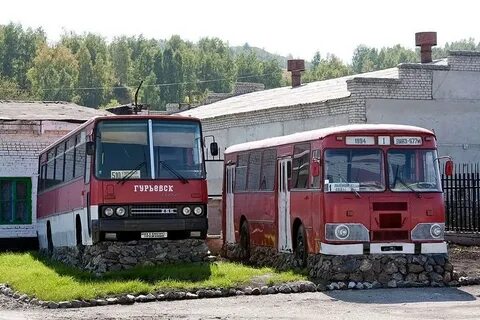 Автобус городок белово