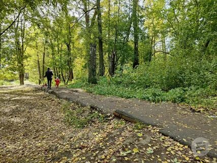 Роща 14