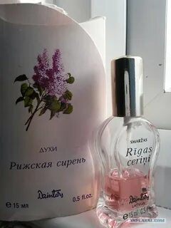 Рижская сирень