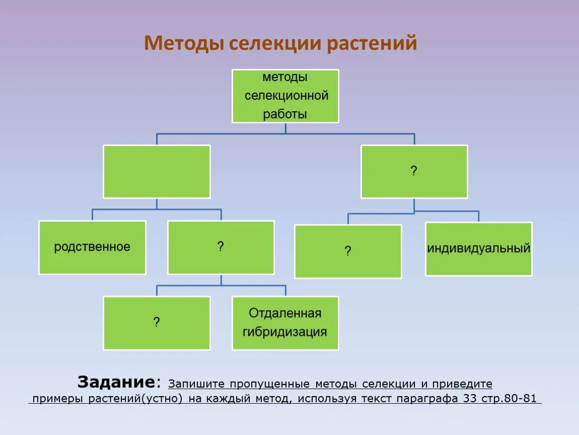 Селекция презентация 10 класс. Схема методы селекции растений и животных. Методы секций растений. Методы селекции растений. Селекция растений схема.