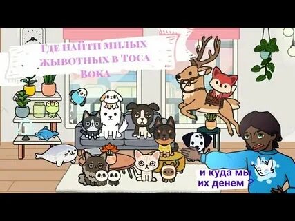 Где найти милую