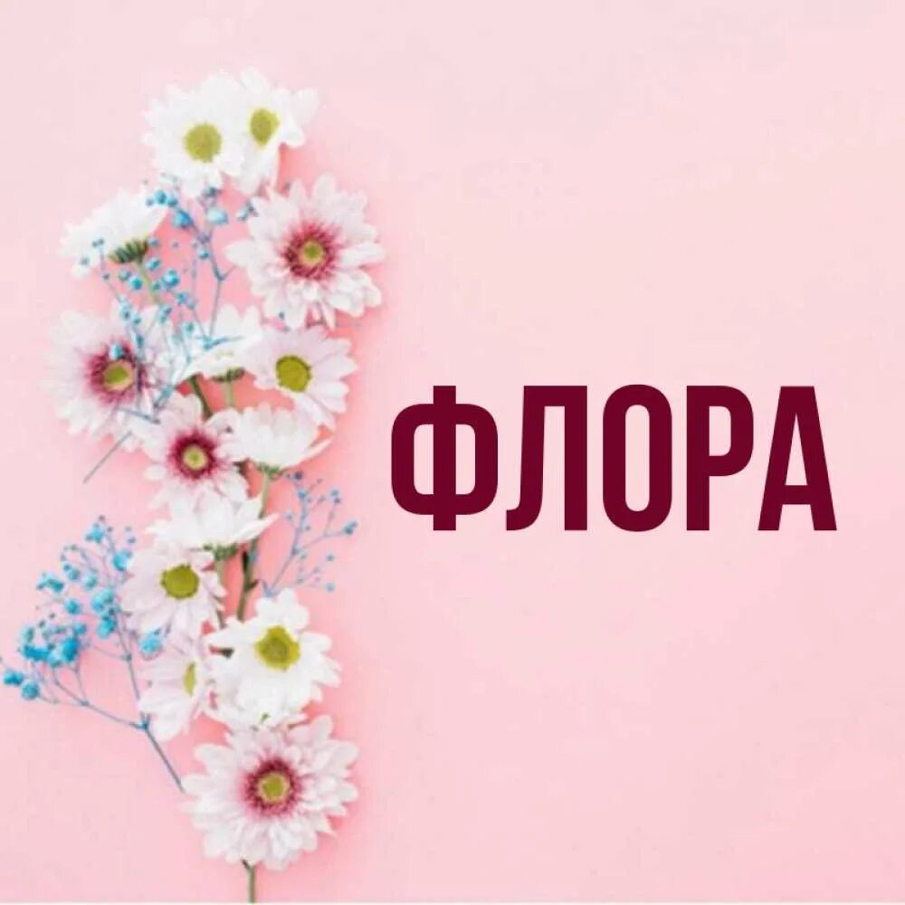 Flora имя. Flora имя. Flora имя. Flora имя. Flora имя.