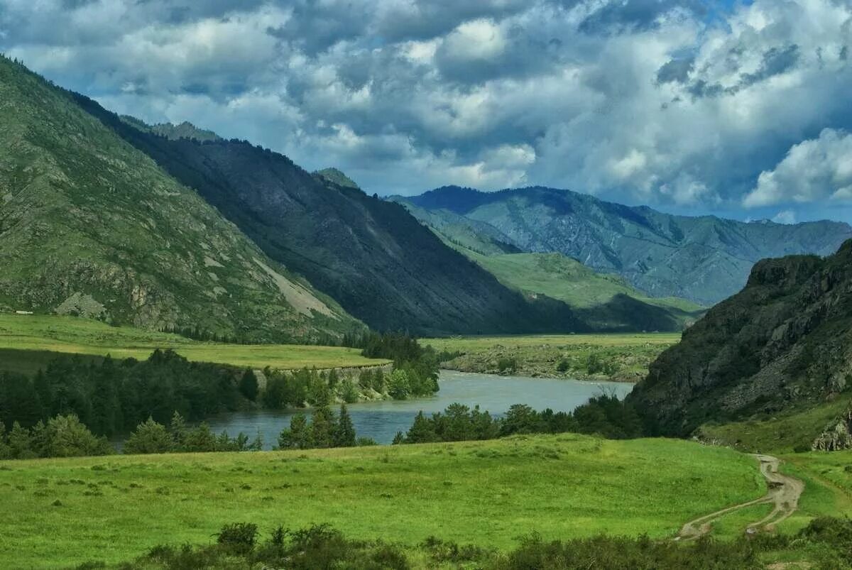 Горные республики россии. Алтайский край горный Алтай. Алтайский край, горный Алтай, Алтайская Республика. Горы Алтай Белокуриха Чарыш. Горно Алтайск ландшафт.