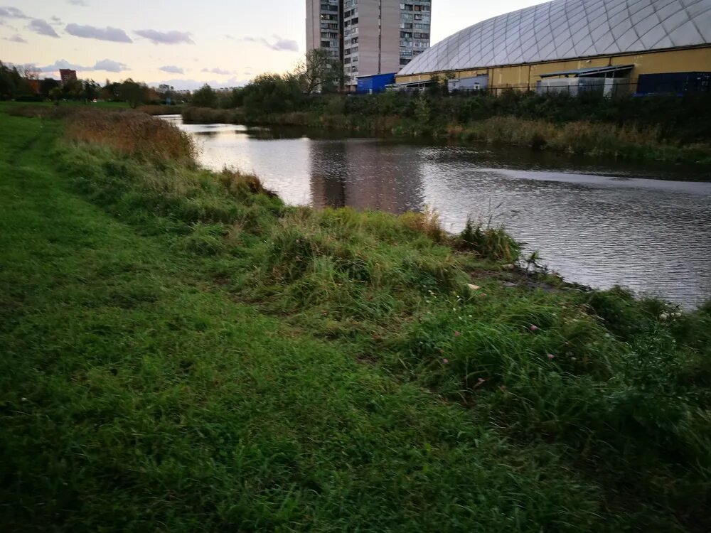 Речка ивановка красносельский район. Вода в красносельском районе. Вода в красносельском районе. Река ивановка в красносельском районе рыбалка. Вода в красносельском районе.