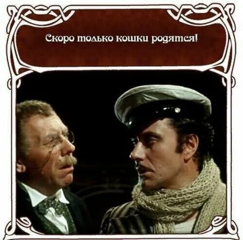 Великий махинатор остап бендер. Фразы из 12 стульев. Мы чужие на этом празднике жизни. Крылатые фразы бендера. Высказывания остапа бендера.