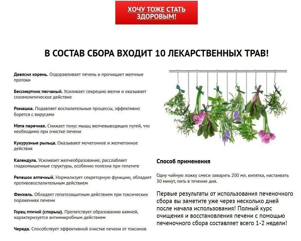 Какие травы собирать для чая на зиму. Полезные травы. сочетание лекарственных трав для чая. целебные травы для чая. растения для чая список.