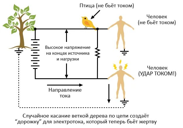 Почему руки бьют током. Почему часто бьет током. Почему человек бьет током причина.