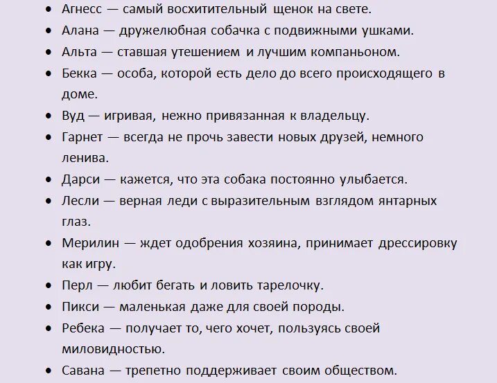 Имена для девочек собак маленьких пород. Клички для беленькихсобак. Кличка для собаки девочки короткое и красивое. Самые красивые клички для собак девочек.