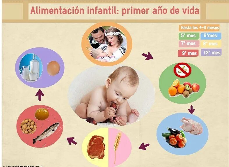 Alimentación del bebe a partir de los 6 meses