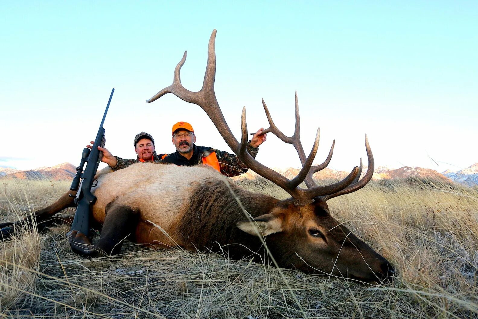 Colorado mule deer. Call hunting magazine. Северный олень трофея. Hunter rifle. Охотник в лесу.