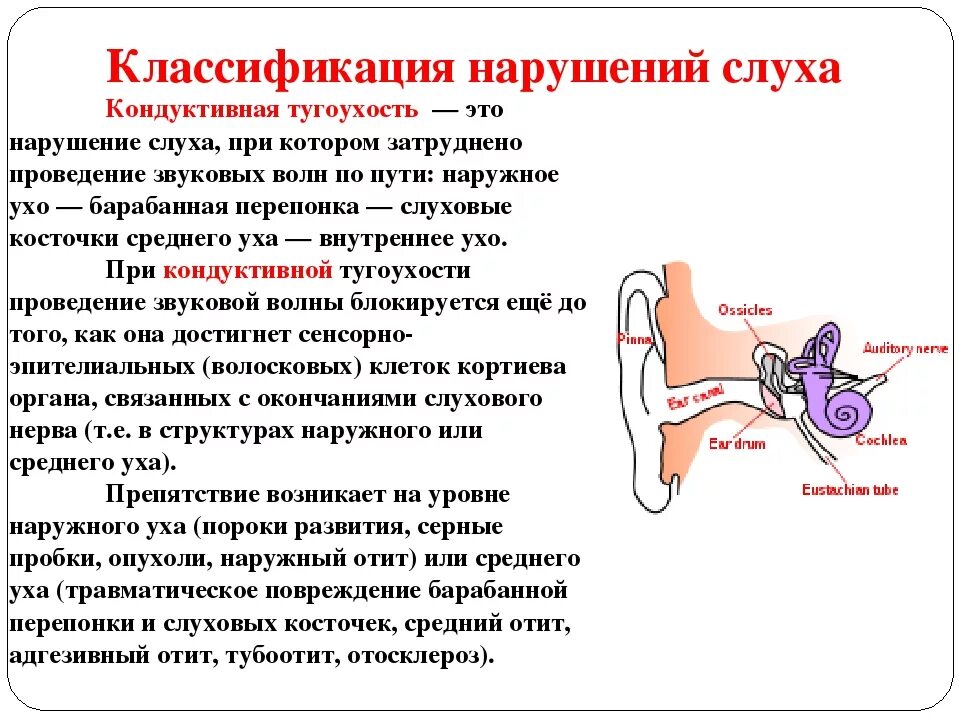 Причины нарушения слуха схема. Тип тугоухости развивающийся при наружном отите. Кондуктивная тугоухость 2-3 степени. Слуховые аппараты при кондуктивной тугоухости. Болезнь внутреннего уха