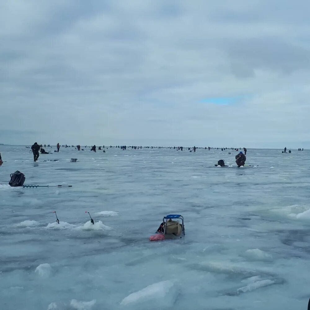 Рыбалка на дамбе спб. Дамба южная ветка финский. Рыбалка на дамбе финского залива сегодня. Рыбалка на дамбе финского залива сегодня. Рыбалка на дамбе финского.