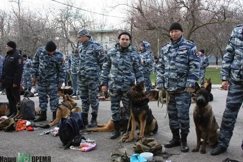 Кинолог ростов