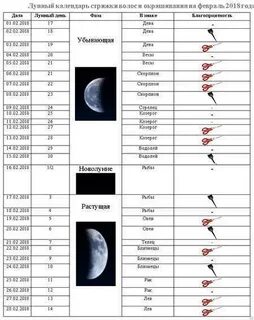 Стрижка волос в феврале 2024г
