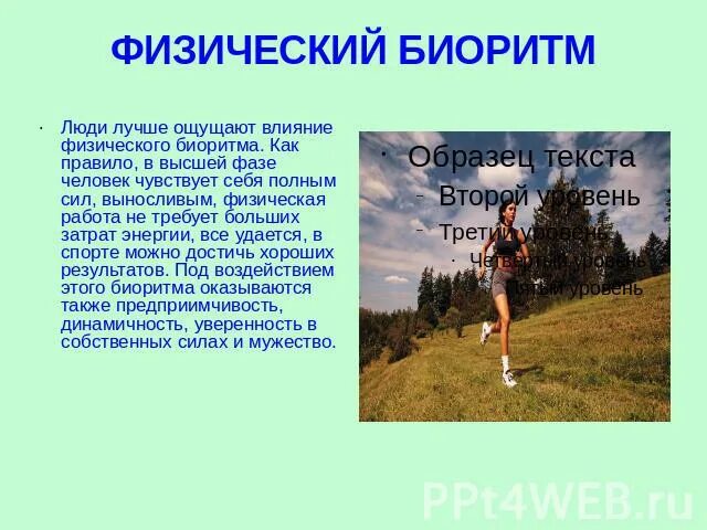 Физический биоритм человека. Биологические ритмы и работоспособность. Интеллектуальный биоритм. Физический биоритм. Физический эмоциональный биоритм.
