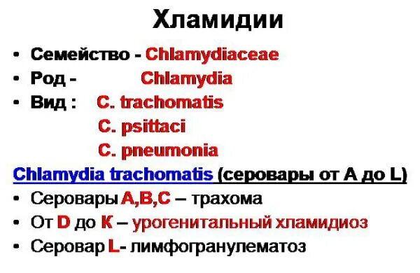 Отрицательные хламидии. Хламидиоз семейство род вид. Chlamydia trachomatis семейство род вид. Возбудитель хламидиоза семейство род вид.