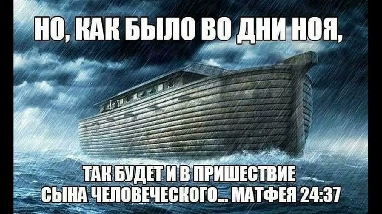 Дно том 1. И будет как во дни ноя. Как было во дни ноя так будет и в пришествие сына человеческого. Пришествие сына человеческого. И будет как во дни ноя ели пили женились.