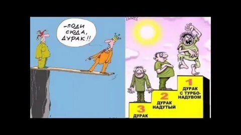 Приколы про дураков