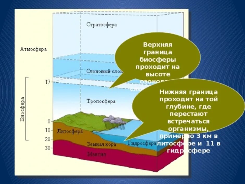 Какая нижняя граница биосферы. Биосфера границы биосферы среды. Биосфера толщина границы биосферы. Гидросфера границы биосферы нижняя граница. Строение границ биосферы в атмосфере.