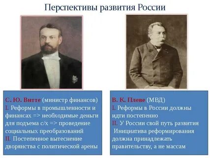 Какие политические преобразования предлагал витте