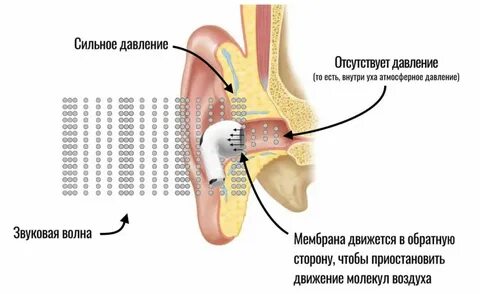 Функция шумоподавления