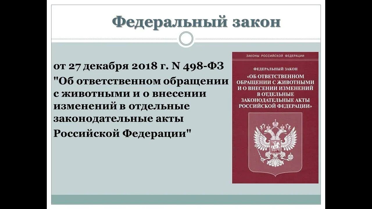 498 фз изменения 2023. Федеральный закон об обращении с животными. Федеральный закон об ответственном обращении с животными. ФЗ об ответственности обращения с животными. 498 ФЗ об ответственном обращении с животными.