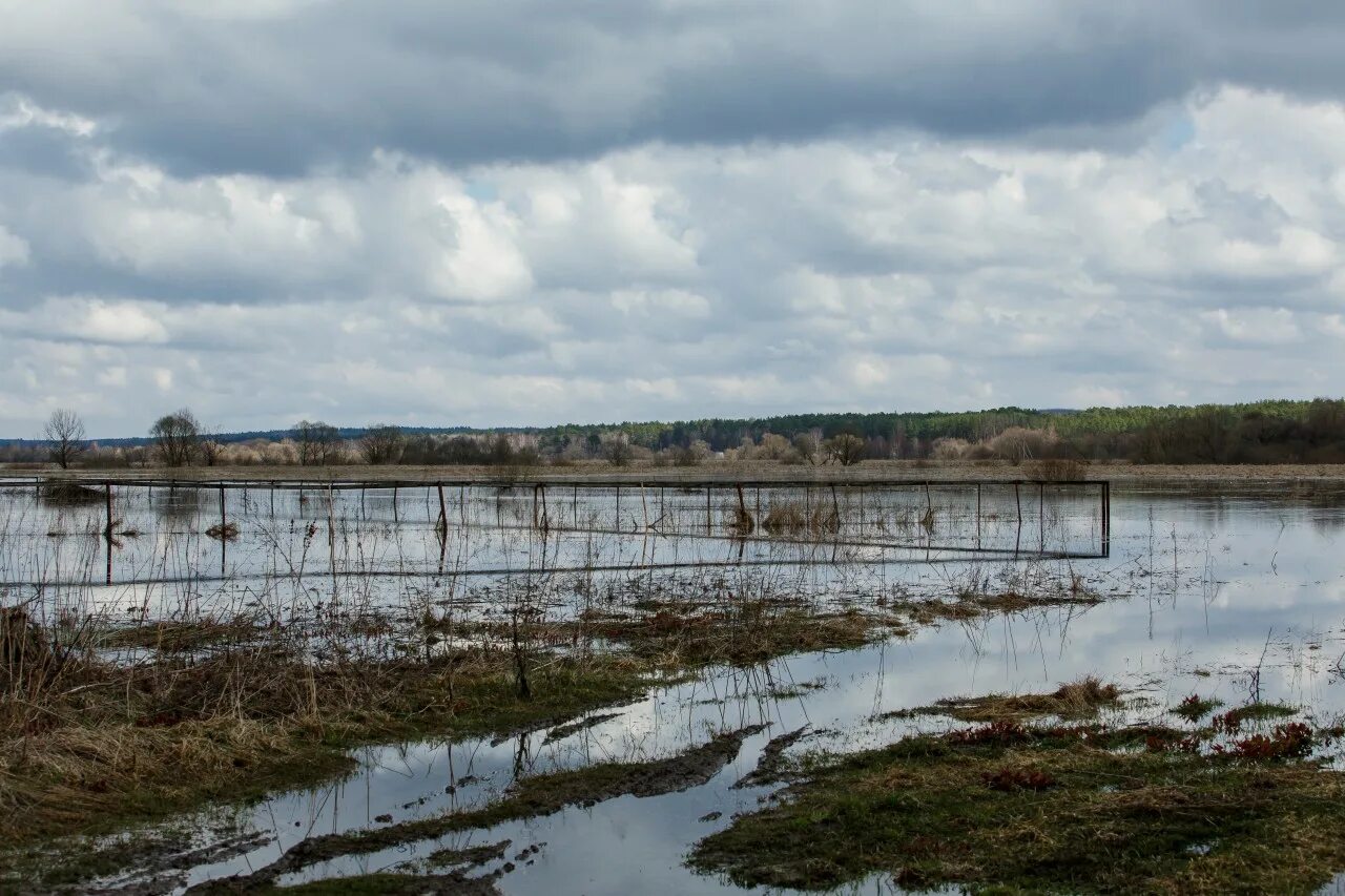 Река ока подъем уровня воды. Уровень воды в Жиздре. Вода Козельск. Уровень воды в Жиздре Козельск. Уровень реки Жиздра Козельск.