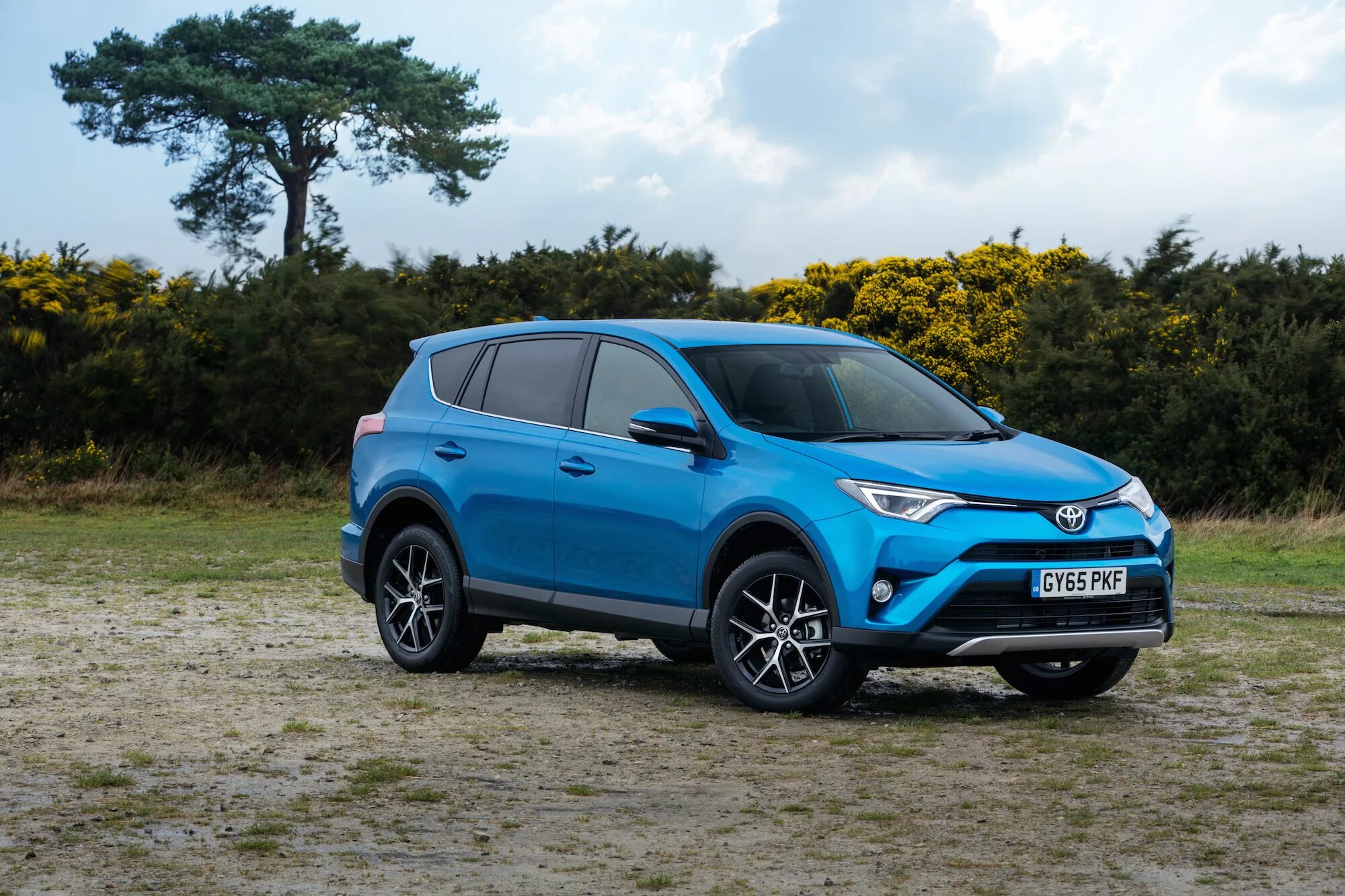 4 2015. рав 4 2015. тойота рав 4 2015. Toyota rav 2015. 4.