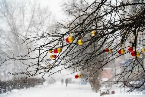 Погода в 27 ноября