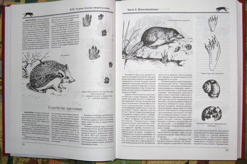 Книга следы животных и птиц. Книга следы зверей и птиц. Книга следы зверей и птиц. Книга следы зверей и птиц. Определитель следов животных.