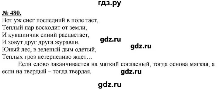 Упражнение 480. Русский язык упражнение 480. Русский язык 5 класс упражнение 480. Русский 480