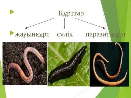 Amazon анальды секс көркем фильм YouTube бейне