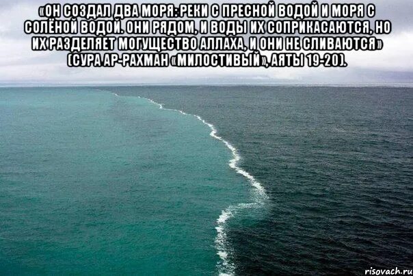 Два моря встречаются. Два моря с разной водой. 2 Моря не смешиваются. Два моря соленое и пресное. Произошло в течение нескольких дней