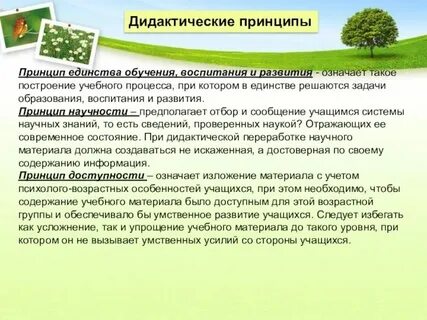 Единство обучения воспитания и развития личности
