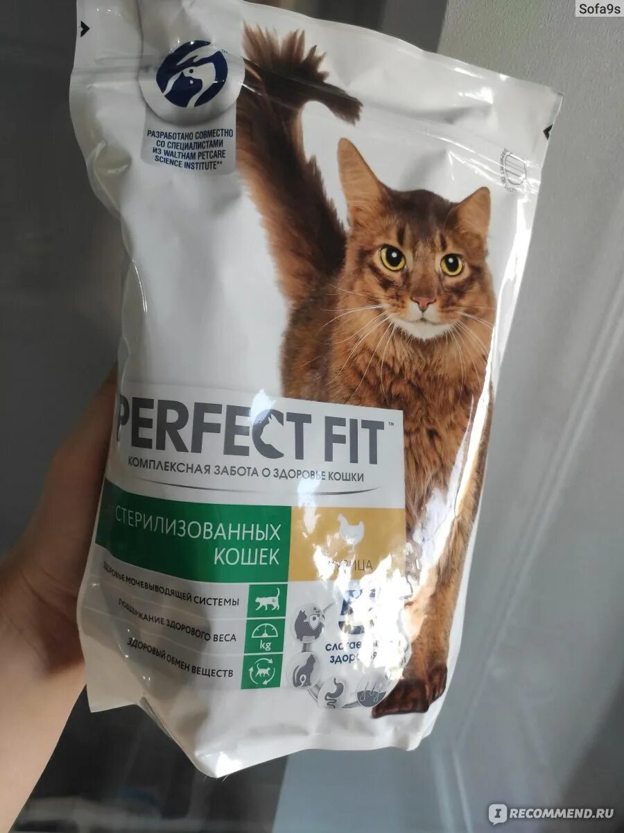 2 кг. Perfect fit корм для кошек 650. Perfect fit влажный корм. Перфект коты. Корм д/кошек perfect fit пауч стерил кролик 75г.