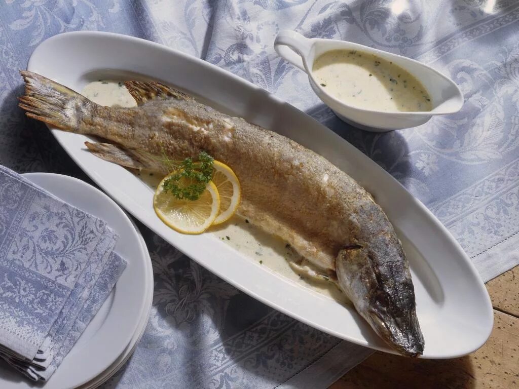 Рецепты со щукой