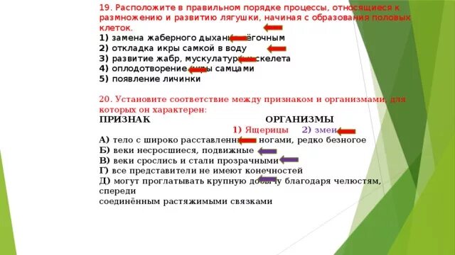 Обозначь верную последовательность процессов. Последовательность процессов размножения и развития лягушки. развитие лягушки начиная с образования половых клеток. расположите в правильном порядке стадии развития лягушки. последовательность процессов к разможению и развитию лягушки.
