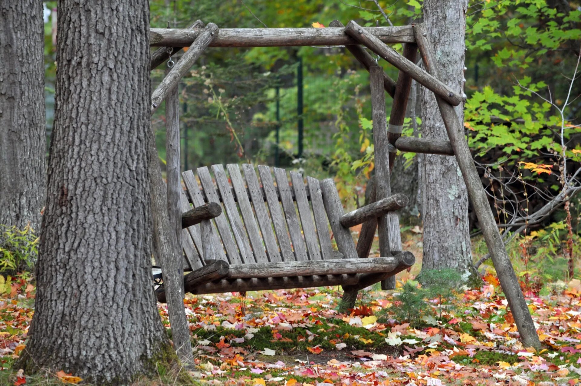 Гамак между деревьями. Качели на двух деревьях. Между двух деревьев. Качели между деревьями. Между двух деревьев.