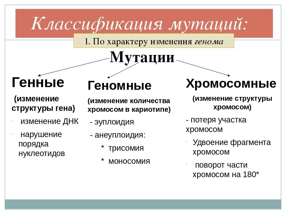 Мутации от химических мутагенов. Наследственные заболевания. Какие мутации вы знаете. Какие бывают геномные мутации. Геномные и хромосомные мутации, их классификация.