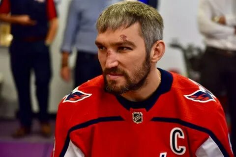 Найти овечкина