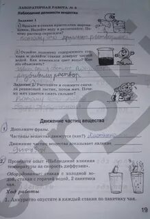 Естествознание 5 класс лабораторная работа номер 8