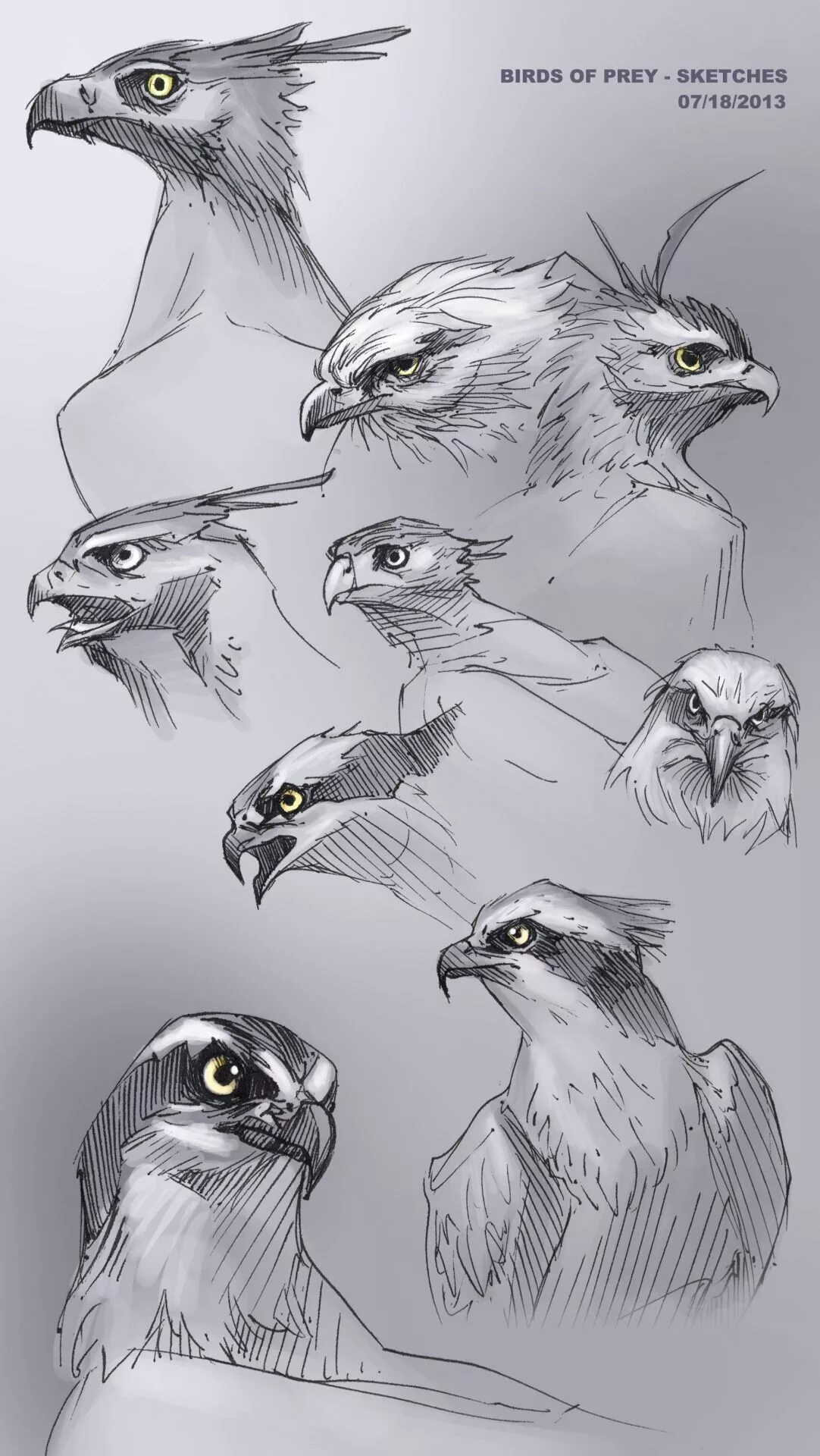 Птица референс. Реферанс человека мифического существа. Крылья туториал. Рисования птицы туториал. Птица референс.